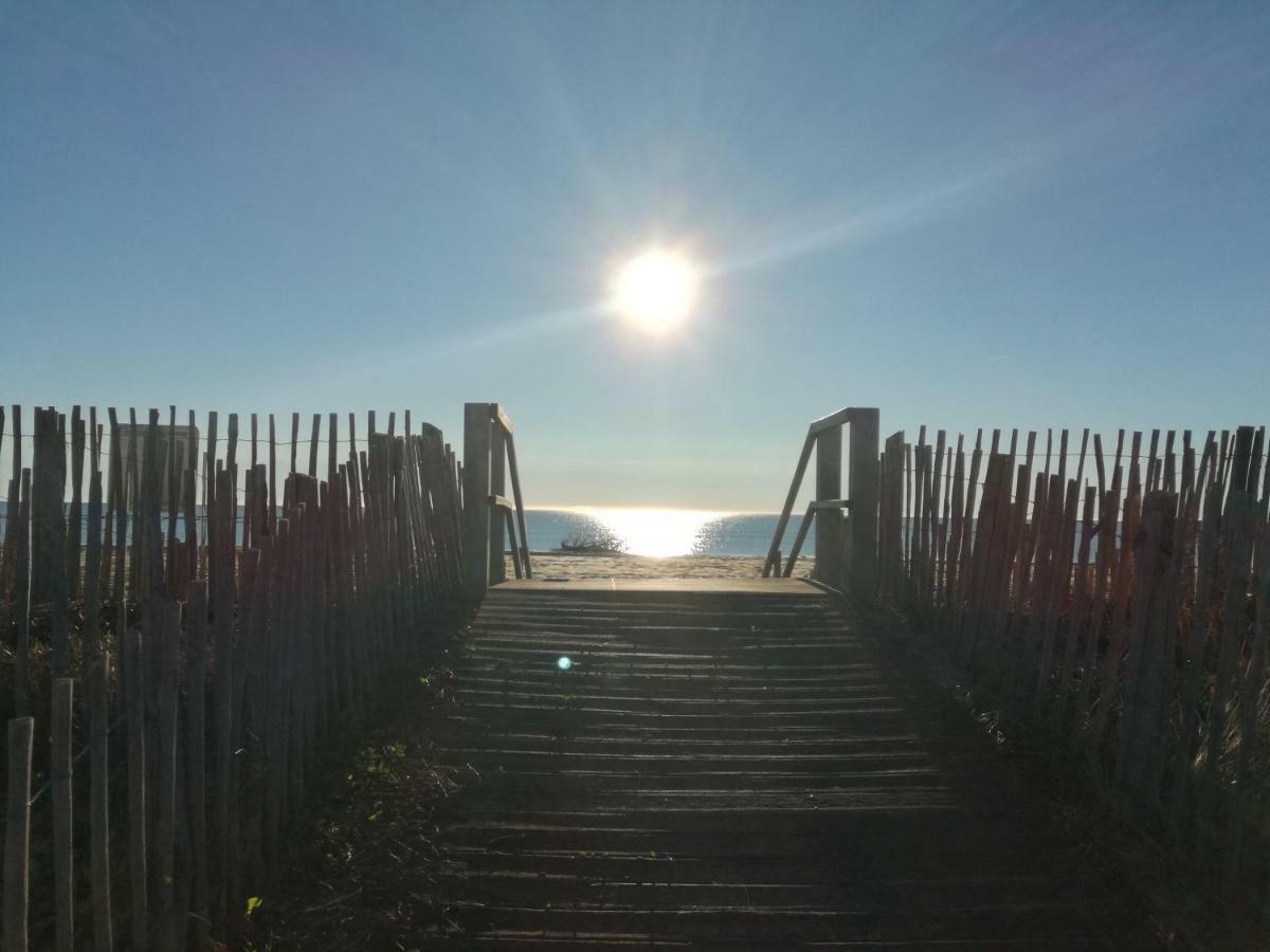 483 Chemin De Saint-Clair Daire Sète Dış mekan fotoğraf